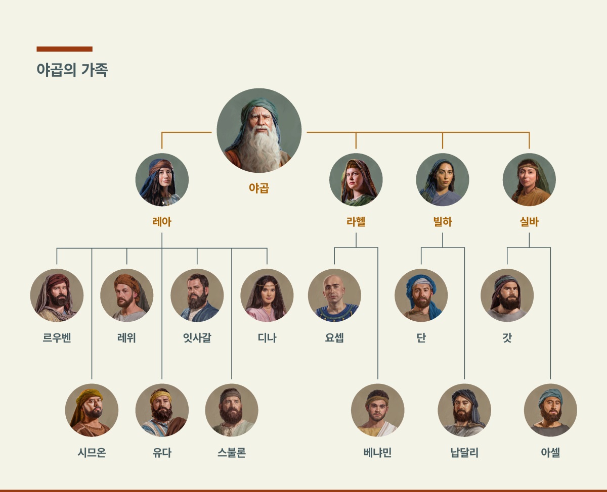 야곱의 가족 관계를 보여 주는 도표. 야곱에게는 두 아내인 레아와 라헬, 그리고 첩들인 빌하와 실바가 있습니다. 레아가 낳은 자녀들은 르우벤, 시므온, 레위, 유다, 잇사갈, 스불론, 디나입니다. 라헬이 낳은 자녀들은 요셉과 베냐민입니다. 빌하가 낳은 자녀들은 단과 납달리입니다. 실바가 낳은 자녀들은 갓과 아셀입니다.