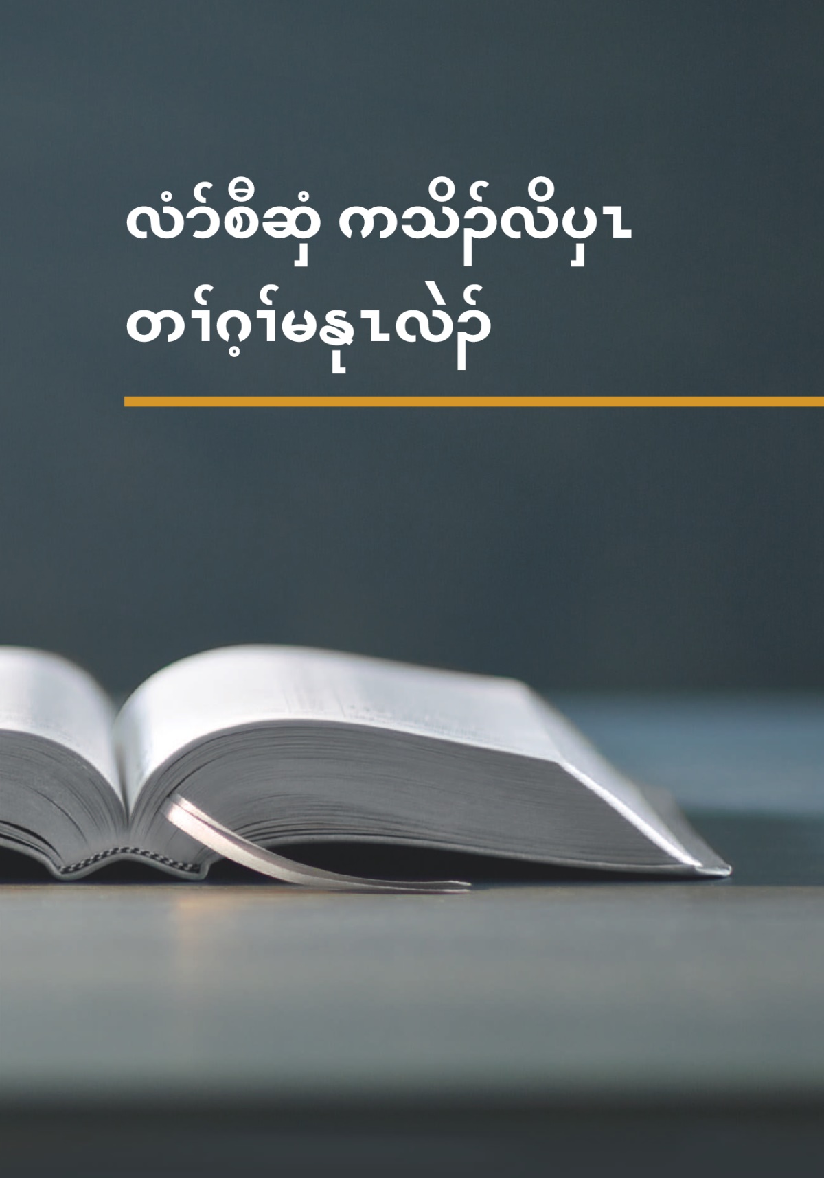 လံာ်လၢအမ့ၢ် ‘လံာ်စီဆှံ ကသိၣ်လိပှၤ တၢ်ဂ့ၢ်မနုၤလဲၣ်’