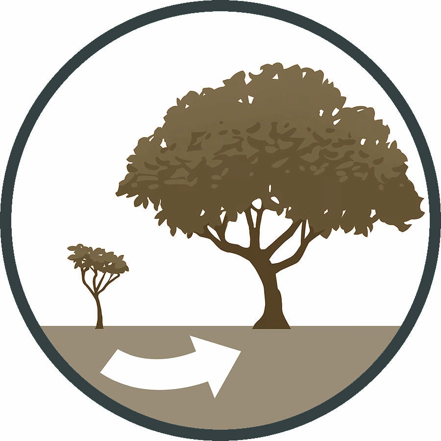 바빌론 사람들이 치른 희생: 13년간 티레를 포위 공격하면서 막대한 재정적 손실을 입었다