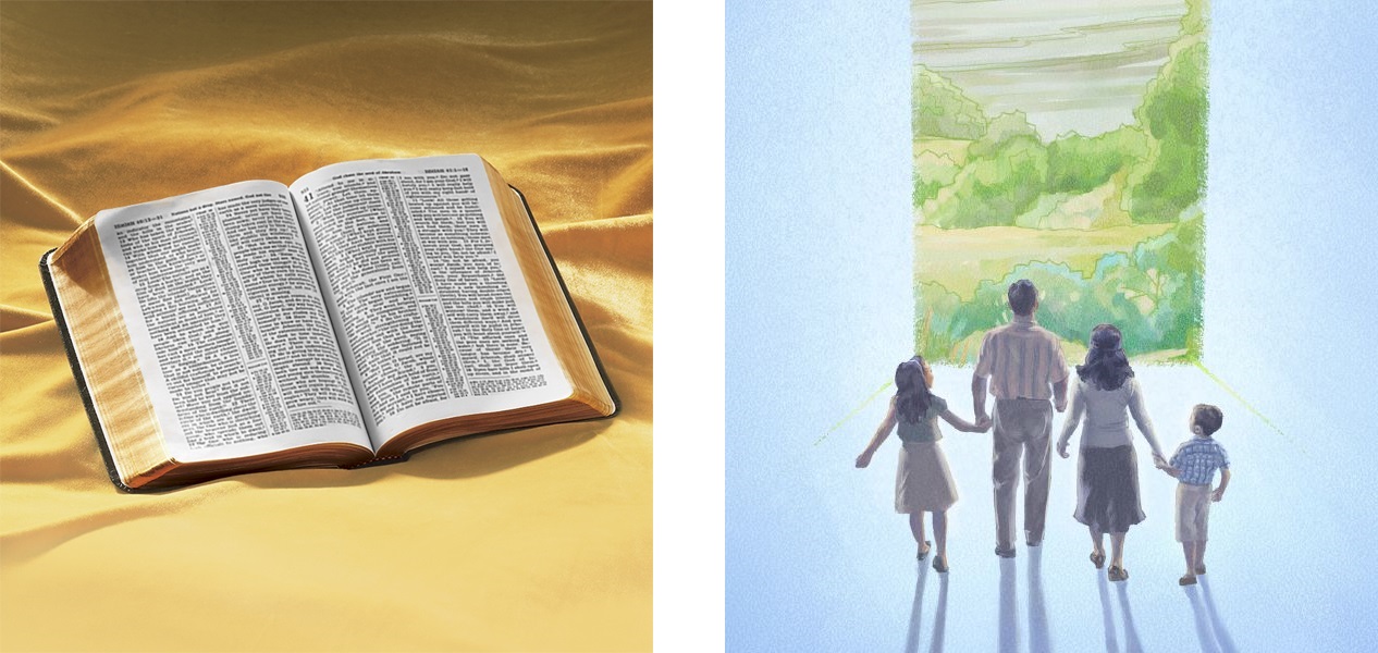 ‘성경에서 무엇을 배울 수 있습니까?’ 책, ‘하느님의 말씀을 들어 보십시오—영원한 생명을 위해’ 팜플렛