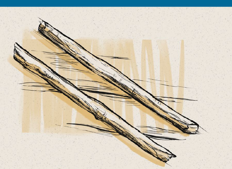 Emiggo ebiri egyogerwako mu bunnabbi bwa Ezeekyeri