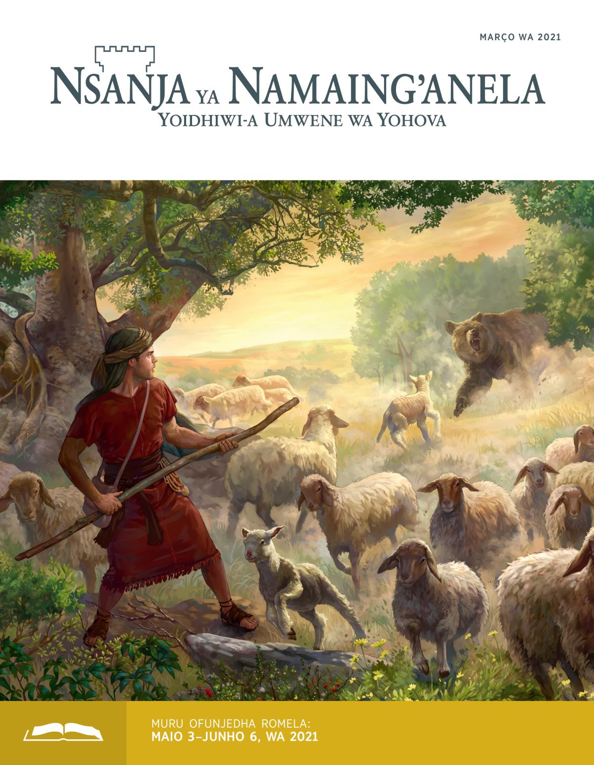 Nsanja ya Namaing’anela Yofunjedha, março wa 2021.