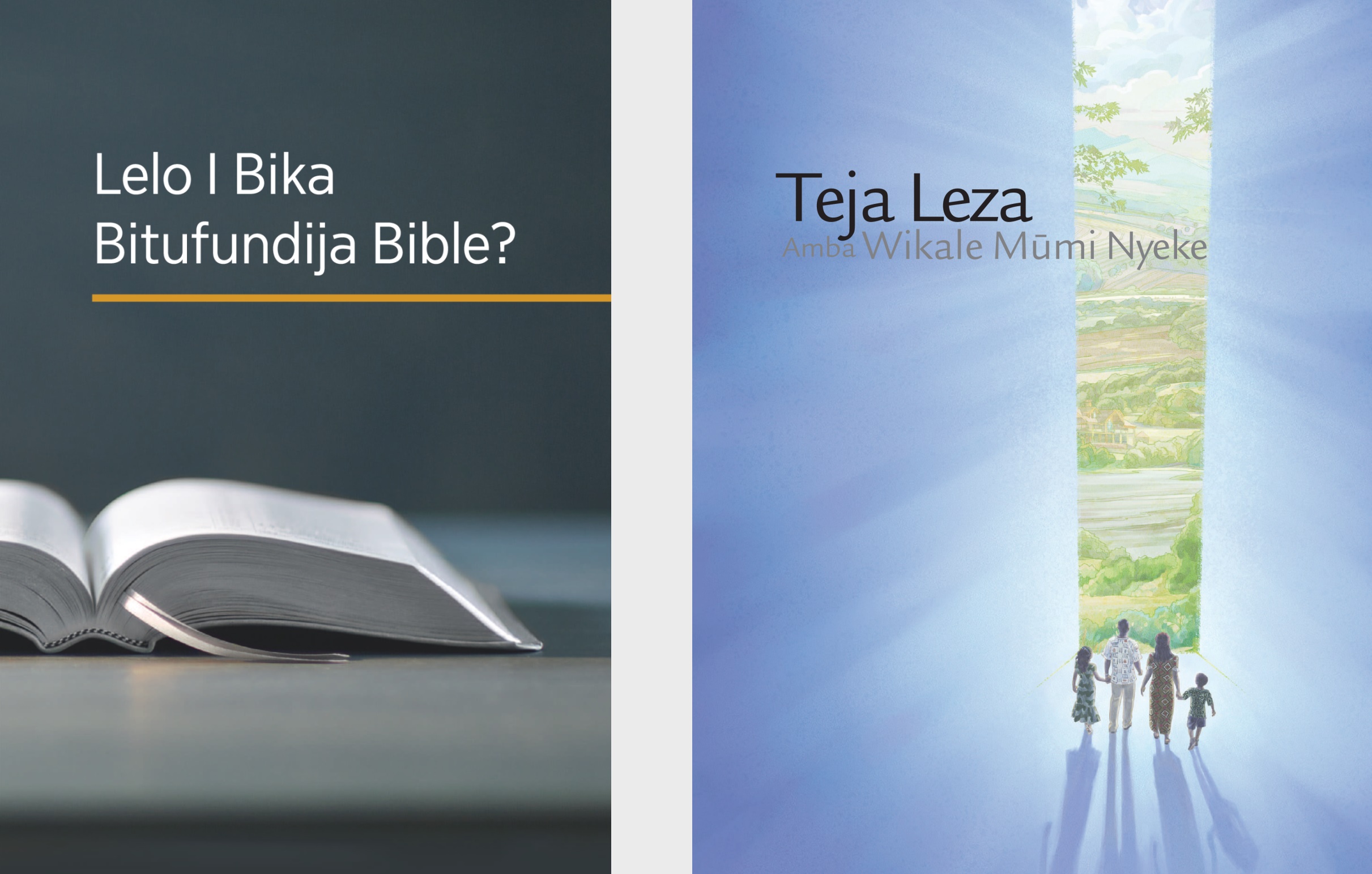 Dibuku ‘Lelo I Bika Bitufundija Bible?’ ne boloshile ‘Teja Leza Amba Wikale Mūmi Nyeke.’