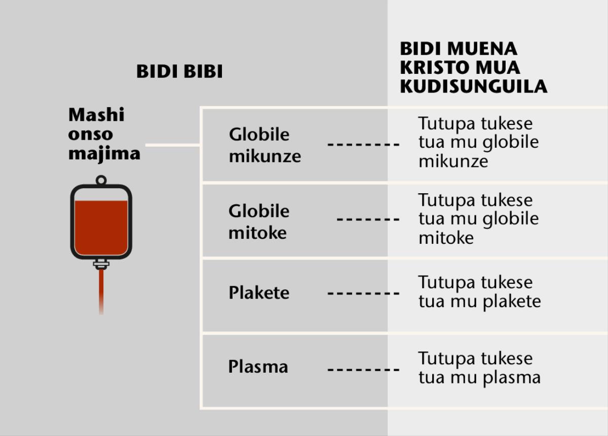 Mashi, bitupa biawu binene binayi, ne tutupa tukese tua mu mashi
