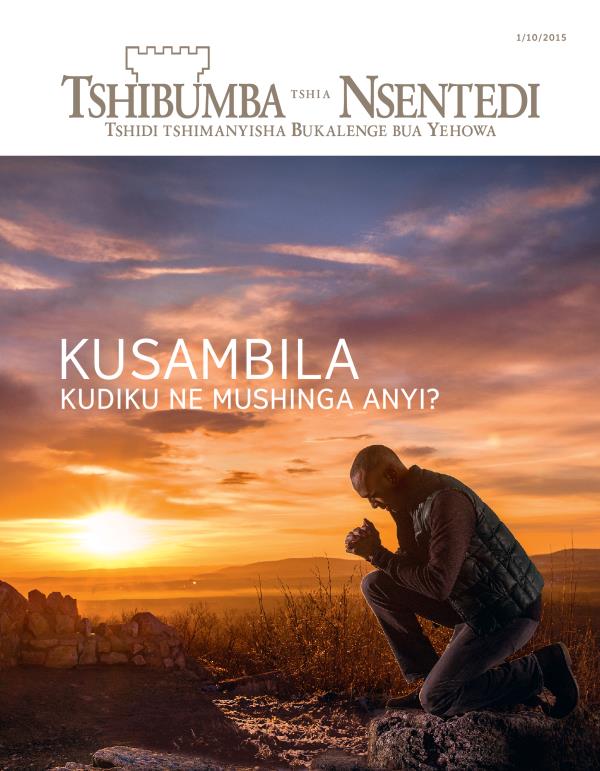 Tshizubu tshia tshibejibeji tshia Tshibumba tshia Nsentedi, 10/2015 | Kusambila kudiku ne mushinga anyi?