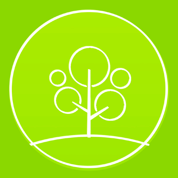 Mutshi