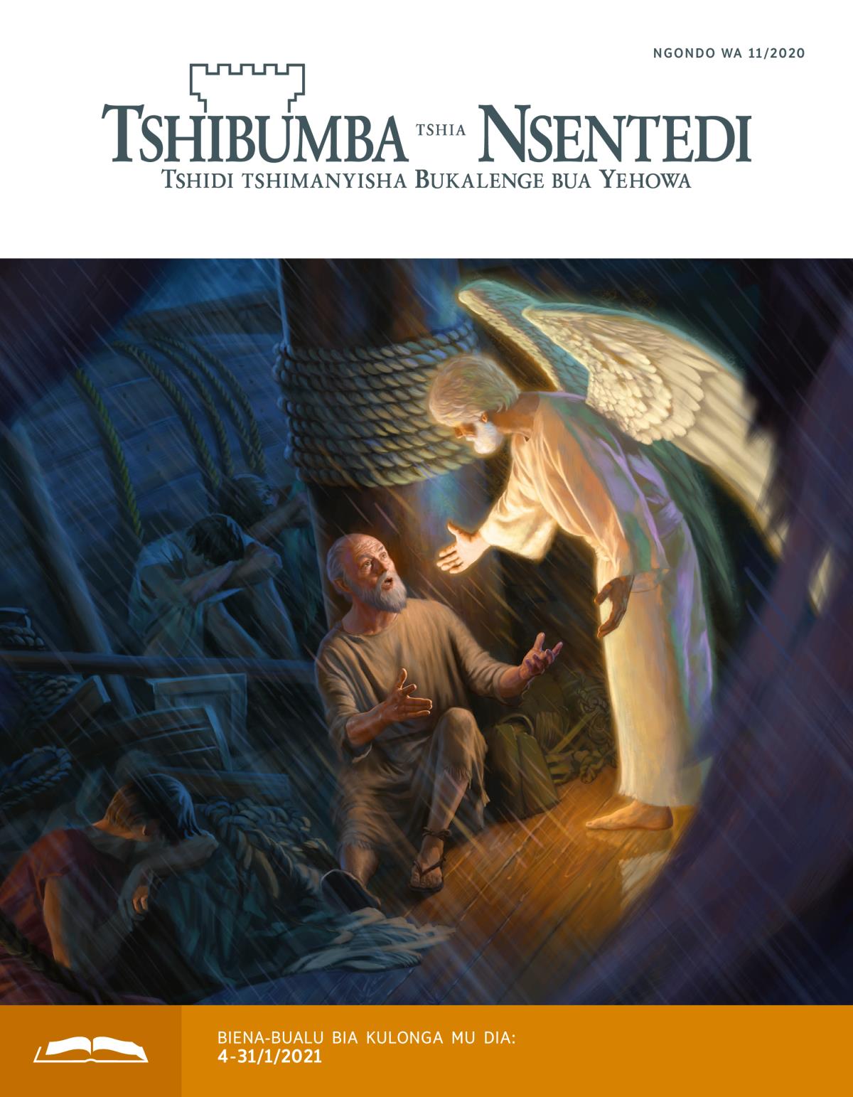 Tshibumba tshia Nsentedi tshia kulonga tshia ngondo wa 11/2020.