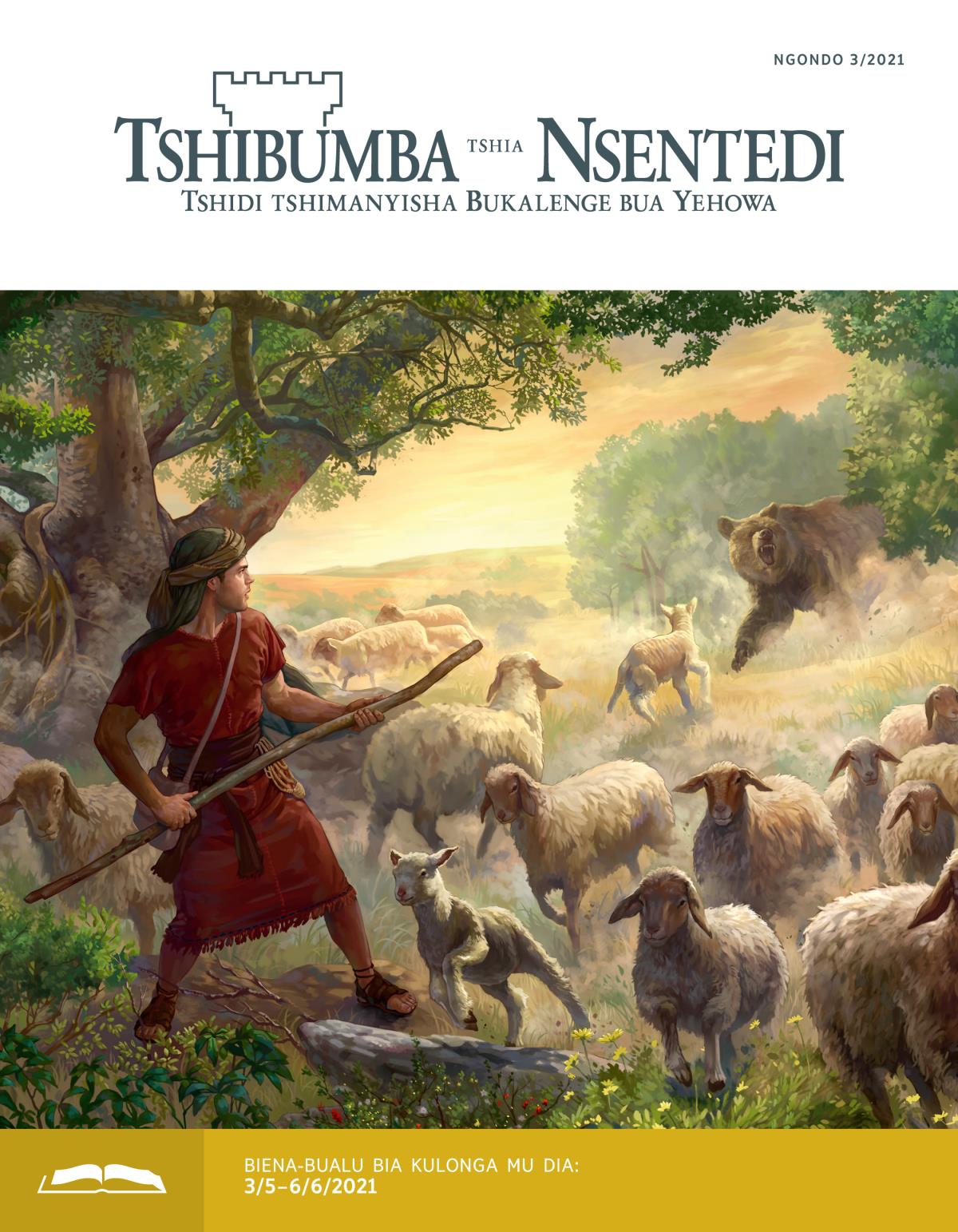 Tshibumba tshia Nsentedi tshia kulonga tshia ngondo 3/2021.