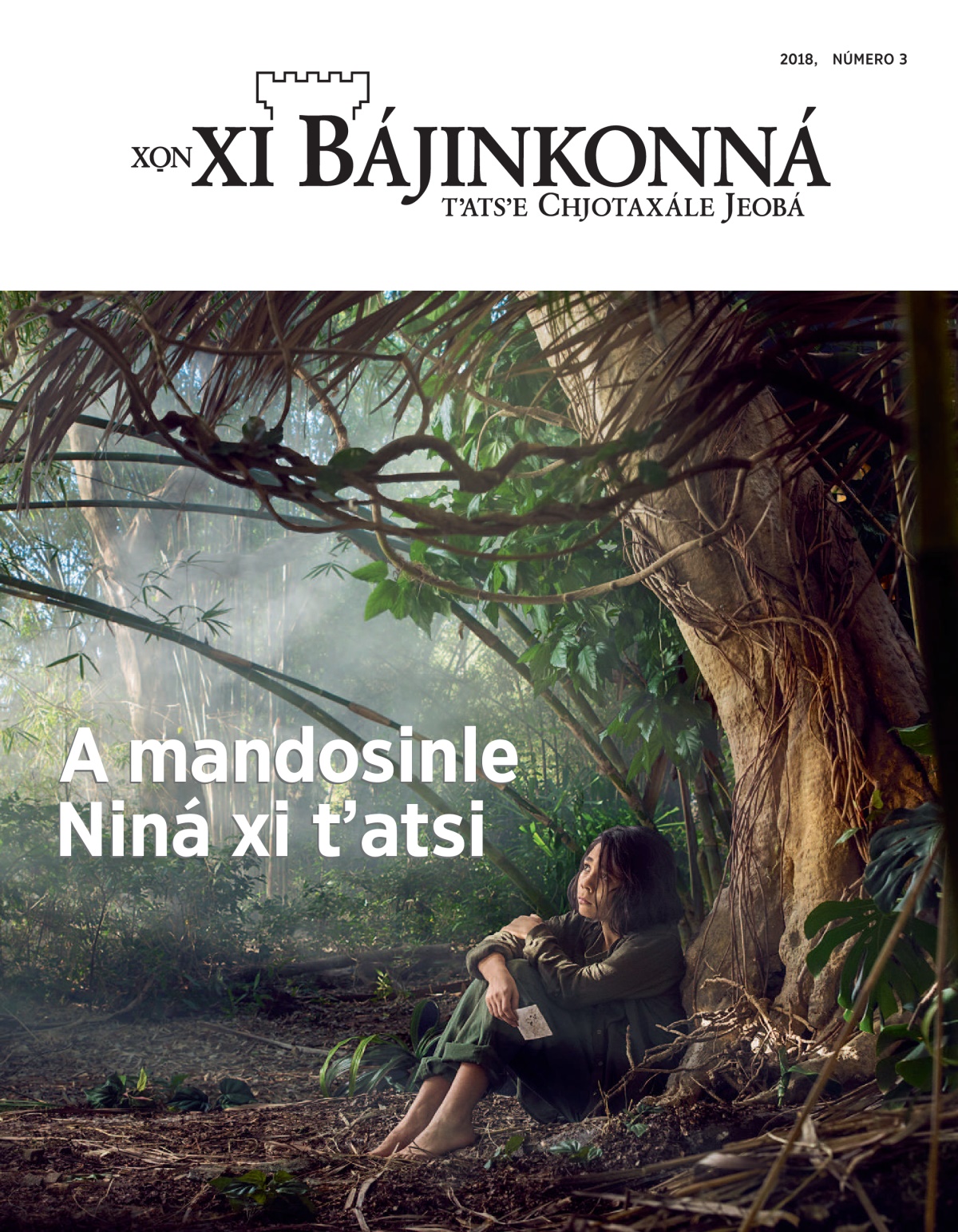 Xo̱n xi Bájinkonná número 3, 2018.