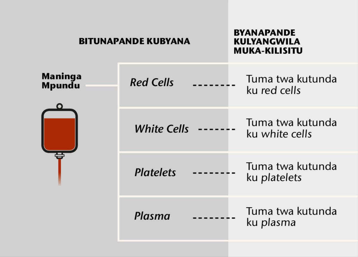 Maninga, byuma biwana bije byatunga maninga, na tuma twatundondo twa mu maninga