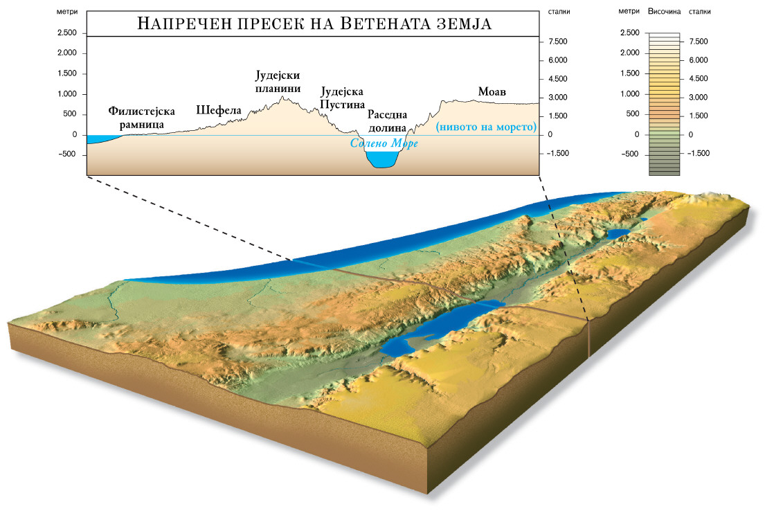 Напречен пресек на Ветената земја