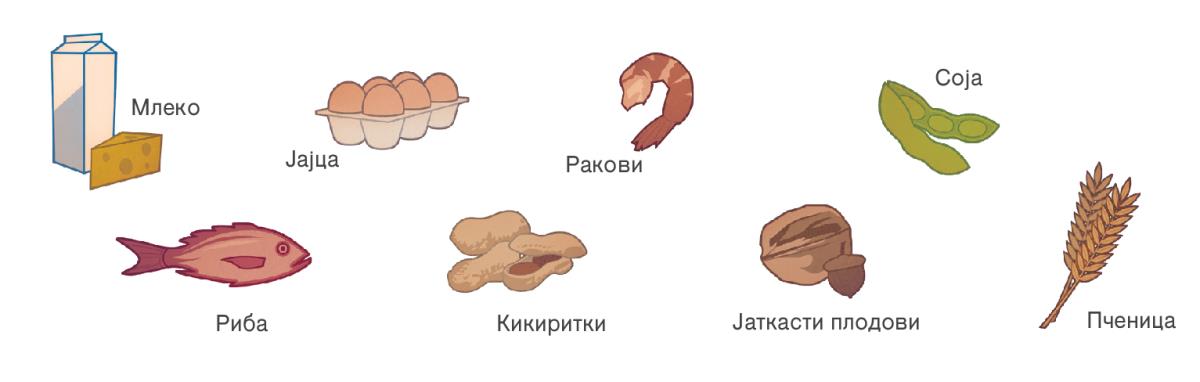 Млеко, јајца, ракови, соја, риба, кикиритки, јаткасти плодови и пченица
