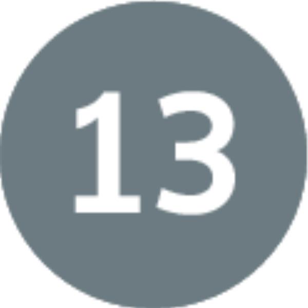 പ്രവചനം 13.