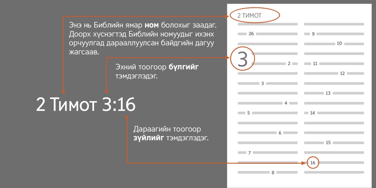 2 Тимот 3:16-г жишээ болгон Библийн зүйлийг хайх. Энэ нь Библийн ямар ном болохыг заадаг. Библийн номуудын өргөн хэрэглэгддэг дарааллыг доорх жагсаалтаас үзнэ үү. Эхний тоогоор бүлгийг тэмдэглэдэг. Жишээ нь энд 3-р бүлгийг заасан байна. Дараагийн тоогоор зүйлийг тэмдэглэдэг. Жишээ нь 16-р зүйл.