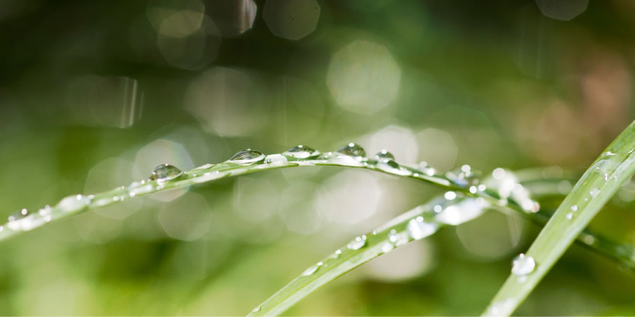 [Foto, seb-neng 61]