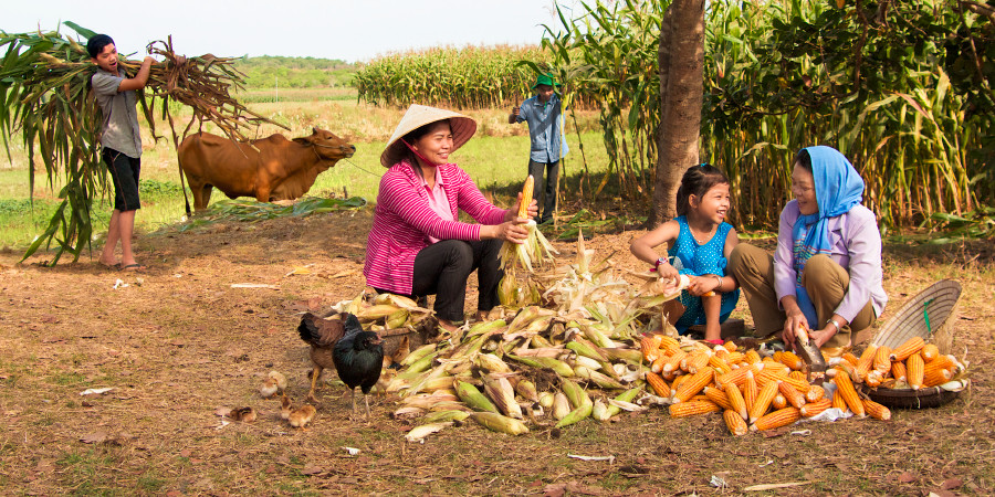 Zak rãmb sẽn kaood kamaana
