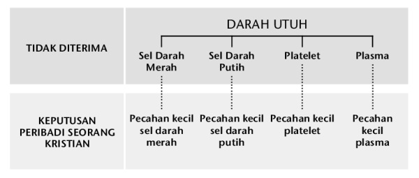 Carta pada muka surat 247