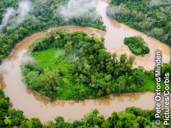 Parti mill-​foresta tropikali Amażonja