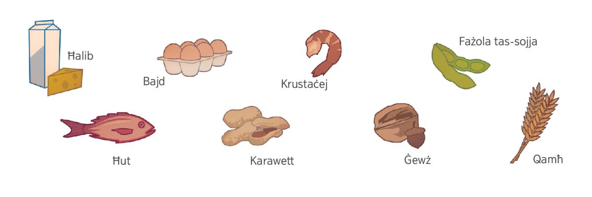 Ħalib, bajd, krustaċej, fażola tas-sojja, ħut, karawett, ġewż, u qamħ