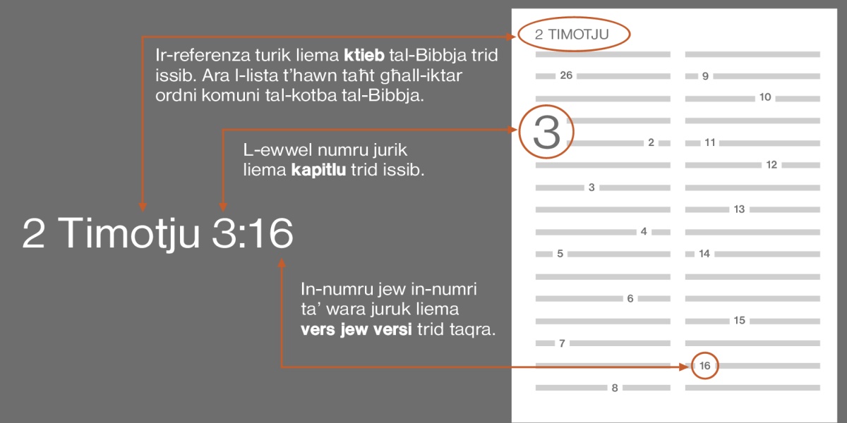 Kotba tal-​Bibbja, kapitli, u versi