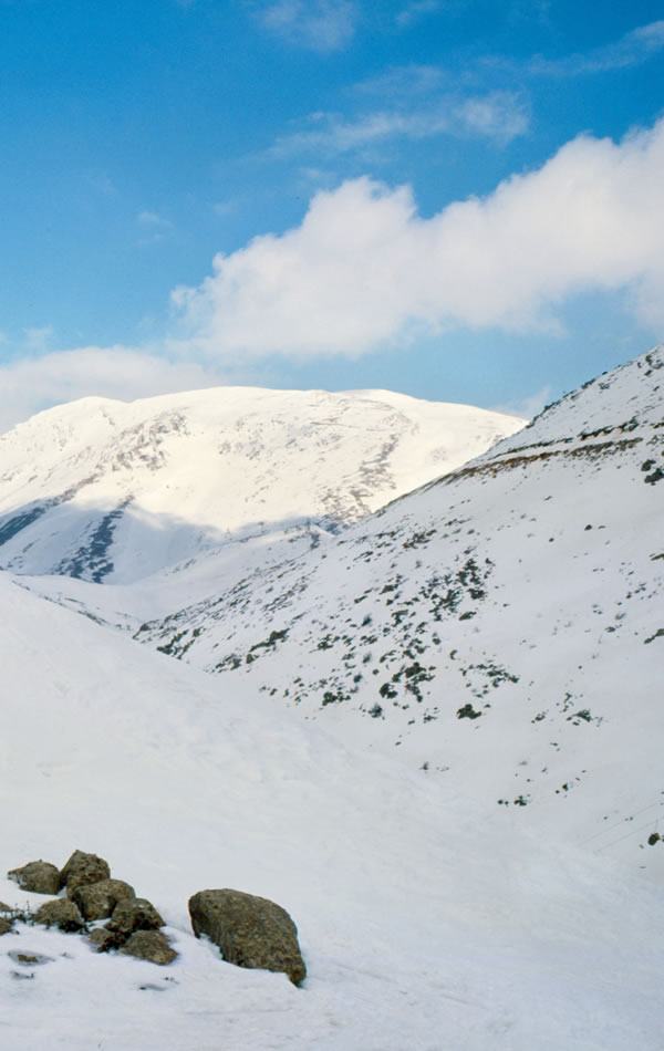 ဆီးနှင်းခဲတွေ ဖုံးလွှမ်းနေသောတောင်ထိပ်