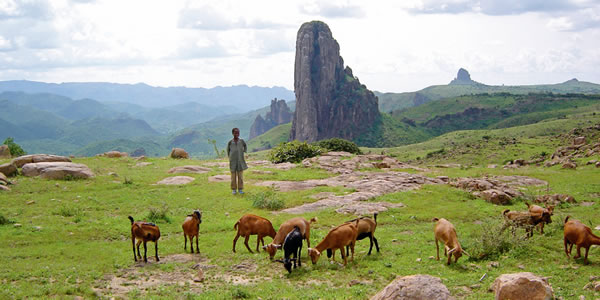 [စာမျက်နှာ ၁၂ ပါ ရုပ်ပုံ]