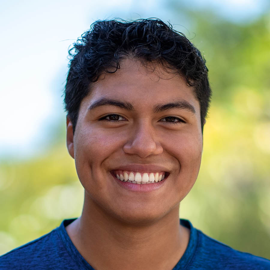 ဗီနီစီရီ။