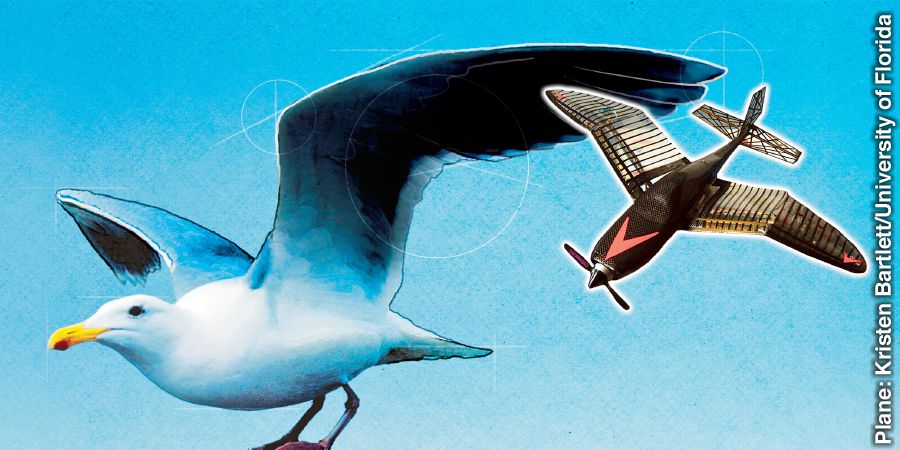 ဇင်ယော်တောင်ပံကို တုပထုတ်လုပ်ထားတဲ့ လေယာဉ်ငယ်