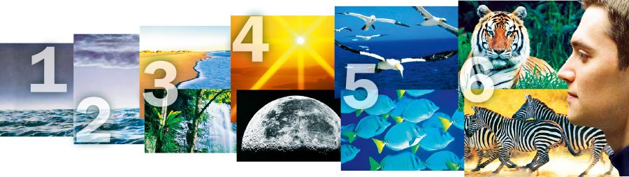 ဖန်ဆင်းရာ ခြောက်ရက်