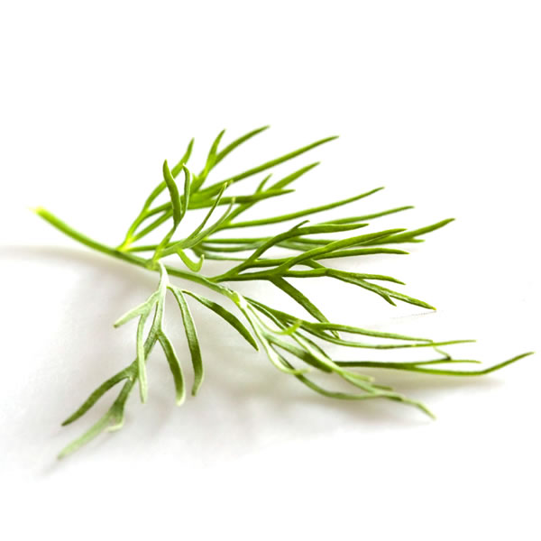 စမုံစပါး