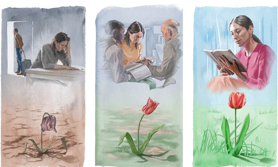 ညီအစ်မတစ်ယောက် ယောက်ျားစွန့်သွားလို့ ကြေကွဲနေ၊ အကြီးအကဲတွေ တွေ့ဆုံ၊ ကျမ်းစာဖတ်ခြင်းကနေ နှစ်သိမ့်မှုရ