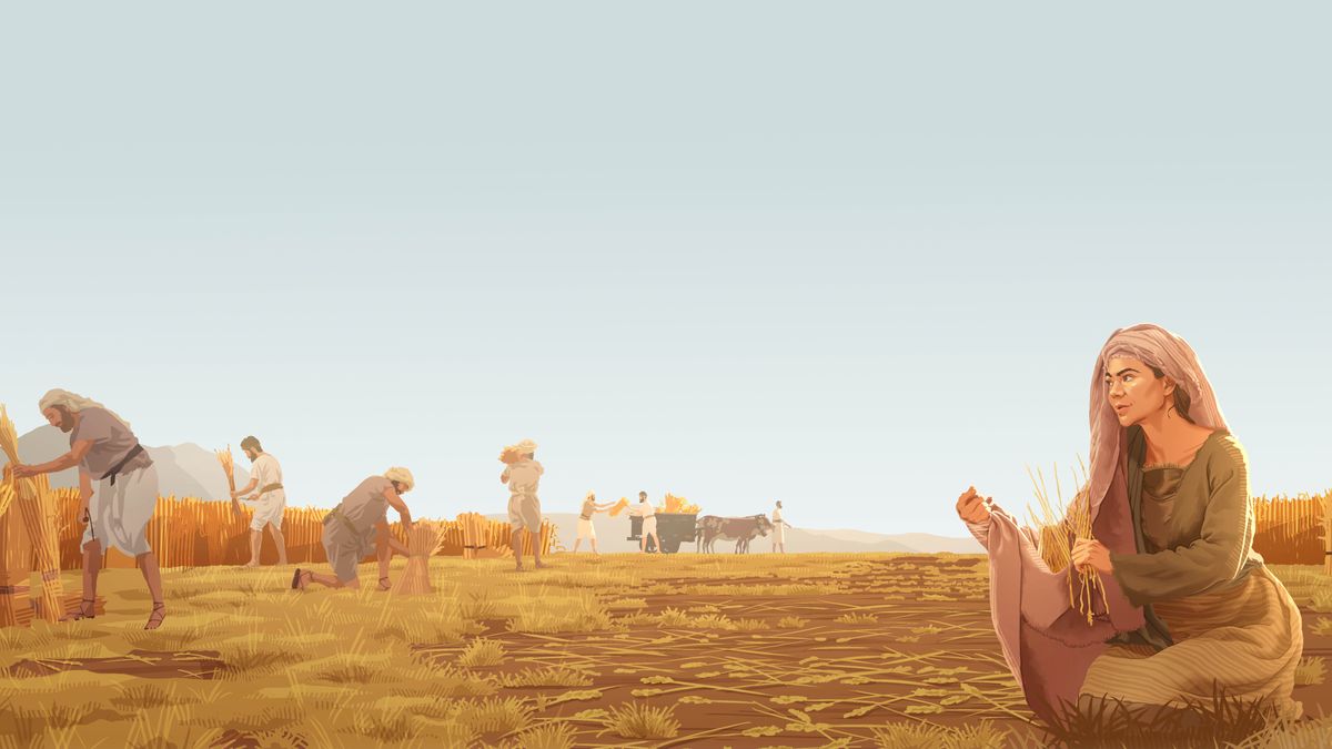 ဗောဇရဲ့ လယ်မှာ ကောက်ရိတ်နေတဲ့ အလုပ်သမတွေနောက်ကနေ ရုသ ကောက်သင်းလိုက်ကောက်နေ။