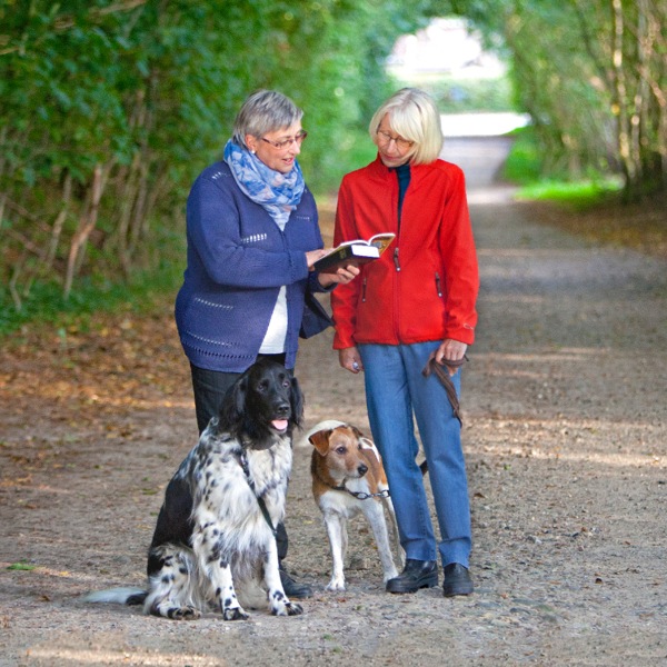 စာမျက်နှာ ၆၈ ပါ ရုပ်ပုံ