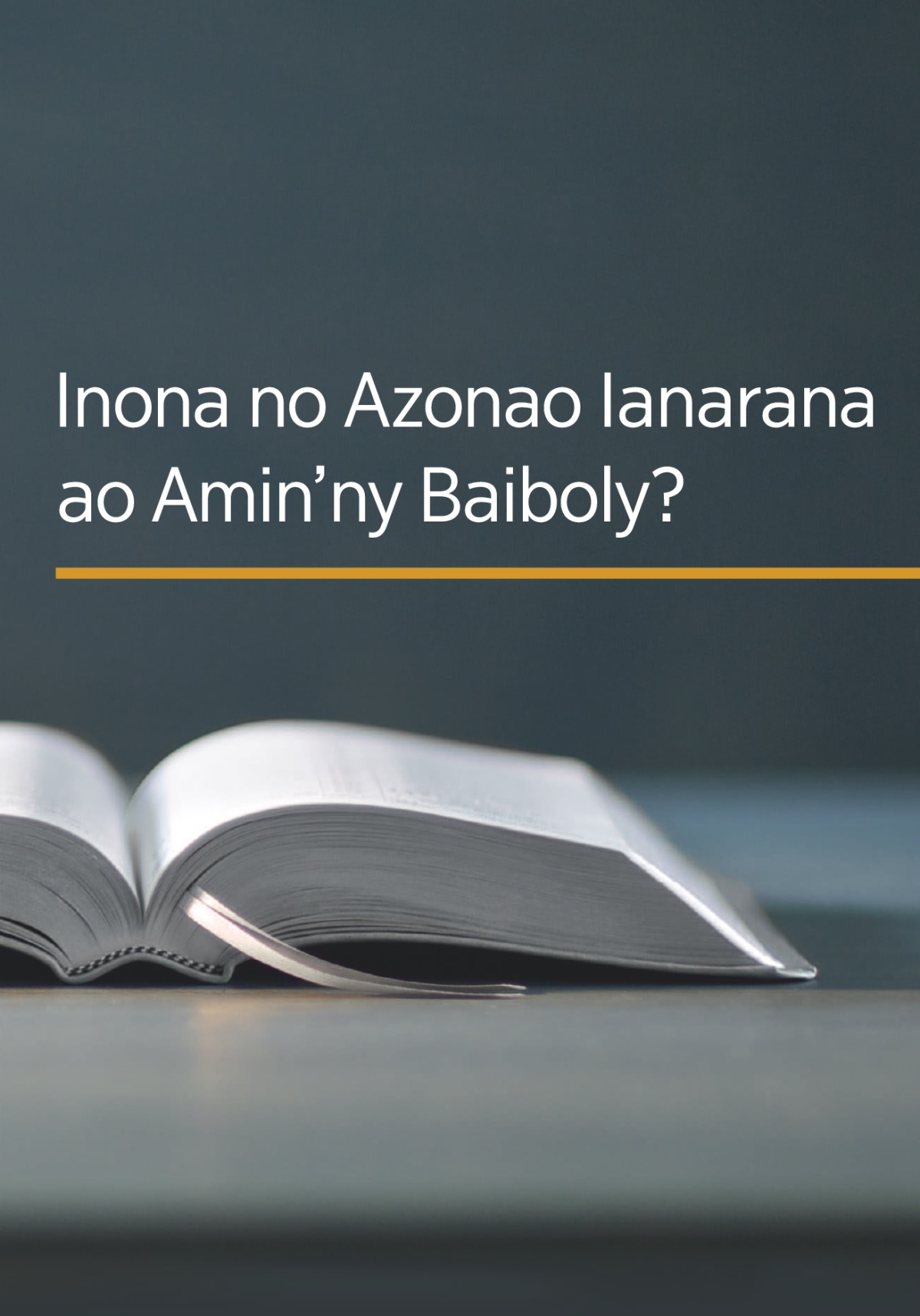 The book ‘What Can the Bible Teach Us?’