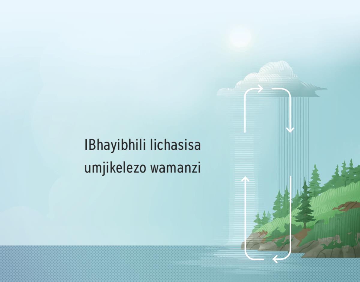 IBhayibhili lisitshela ngomjikelezo wamanzi. Sitshengiswa indlela amanzi asuka ngayo emhlabeni esiya emkhathini.