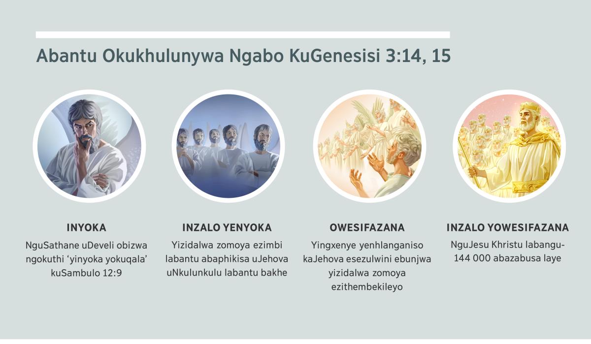 Umfanekiso: “Abantu Okukhulunywa Ngabo KuGenesisi 3:14, 15.” 1. Inyoka: USathane utshengiswa eyingilosi embi. 2. Inzalo yenyoka: izidalwa zomoya ezimbi. 3. Owesifazana: izidalwa zomoya ezithembekileyo. 4. Inzalo yowesifazana: UJesu Khristu labagcotshiweyo sebebusa ezulwini. Abantu esibabona emapikitsheni la kukhulunywa ngabo kundima 4, lo-5 lo-7 lo-8 lo-9.