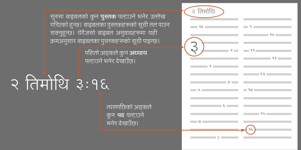 बाइबलका पुस्तकहरू, अध्यायहरू र पदहरू