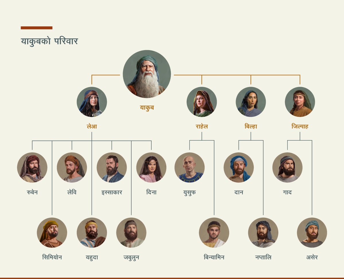 चार्टमा याकुबको वंशावली देखाइएको छ। तिनको दुई जना पत्नी लेआ र राहेल थिए अनि दुई जना उपपत्नी बिल्हा र जिल्पाह थिए। लेआपट्टिबाट जन्मेका सन्तान रुबेन, सिमियोन, लेवि, यहुदा, इस्साकार, जबुलुन र दिना थिए। राहेलपट्टिबाट जन्मेका सन्तान युसुफ र बिन्यामिन थिए। बिल्हापट्टिबाट जन्मेका सन्तान दान र नप्तालि थिए। जिल्पाहपट्टिबाट जन्मेका सन्तान गाद र असेर थिए।