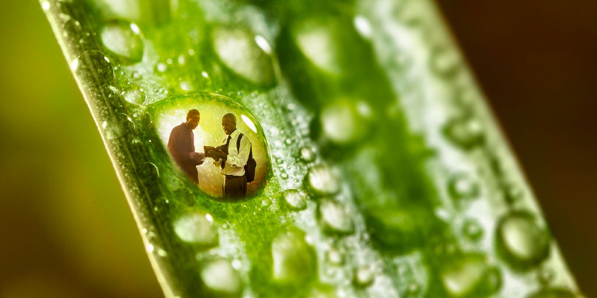 Tlaijtik ipan se tlachipintsin ajuaxtli nesi se foto se iteixpantijkauj Jehová kinojnotstok se tlakatl