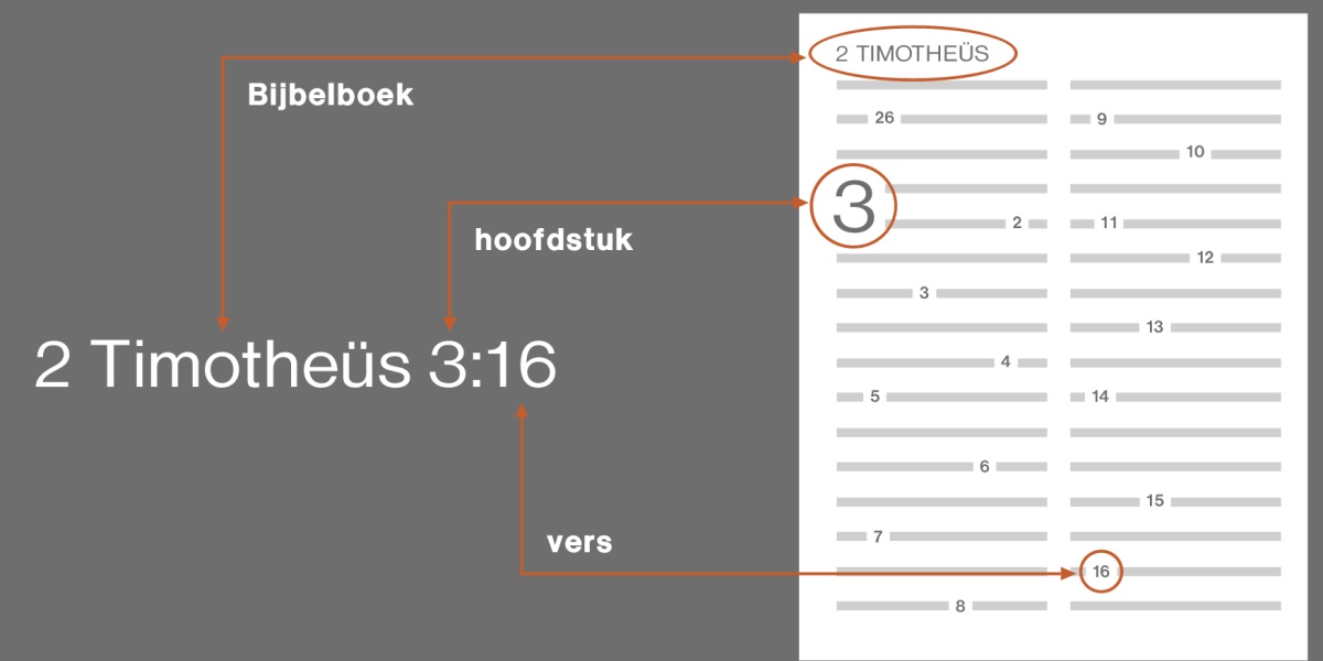 Hoe je een tekst in de Bijbel opzoekt, met 2 Timotheüs 3:16 als voorbeeld. In de verwijzing staat welk Bijbelboek je moet opzoeken, in dit geval het boek 2 Timotheüs (zie de onderstaande lijst voor een veelgebruikte volgorde van Bijbelboeken). Het eerste getal slaat op het hoofdstuk dat je zoekt, hier hoofdstuk 3. Het volgende getal slaat op het vers, hier vers 16.