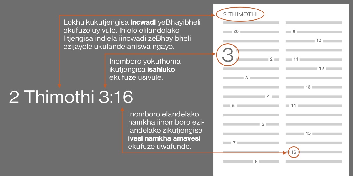 Indlela yokufumana amavesi weBhayibheli usebenzisa yesi-2 kaThimothi 3:16 njengesibonelo. Isikhombo sikutjela bona uvule yiphi incwadi, njengencwadi yesi-2 kaThimothi (qala irhelo elingenzasi, ubone indlela ejayelekileko yokutlola iincwadi zeBhayibheli). Inomboro yokuthoma sisahluko, ngokwesibonelo, isahluko 3. Inomboro namkha iinomboro ezilandelako zilivesi namkha amavesi ekufuze uwafunde. Ngokwesibonelo, ivesi 16.