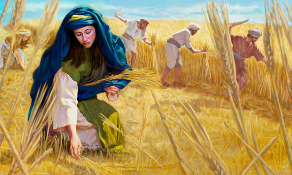 Ruth humbly picking up barley behind the workers in the field