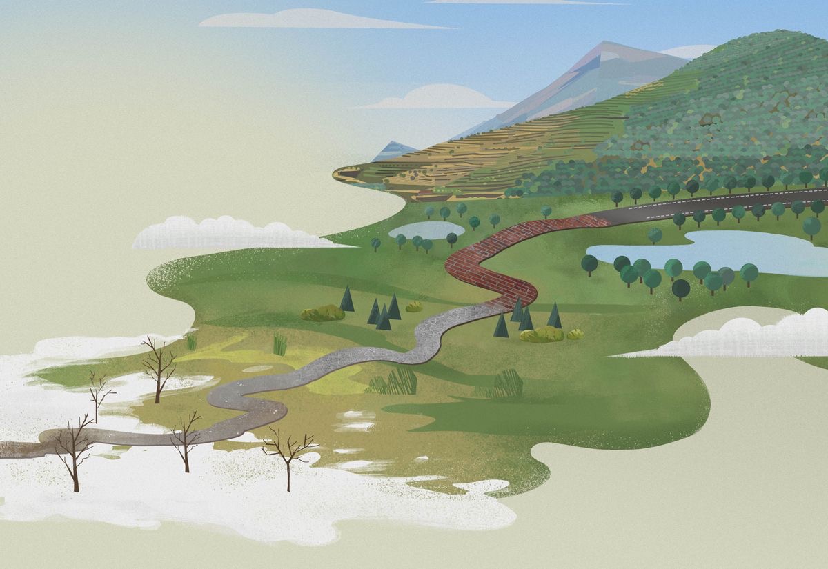 A road gradually becoming smoother and straighter. The surrounding vegetation also becomes healthier and more abundant.