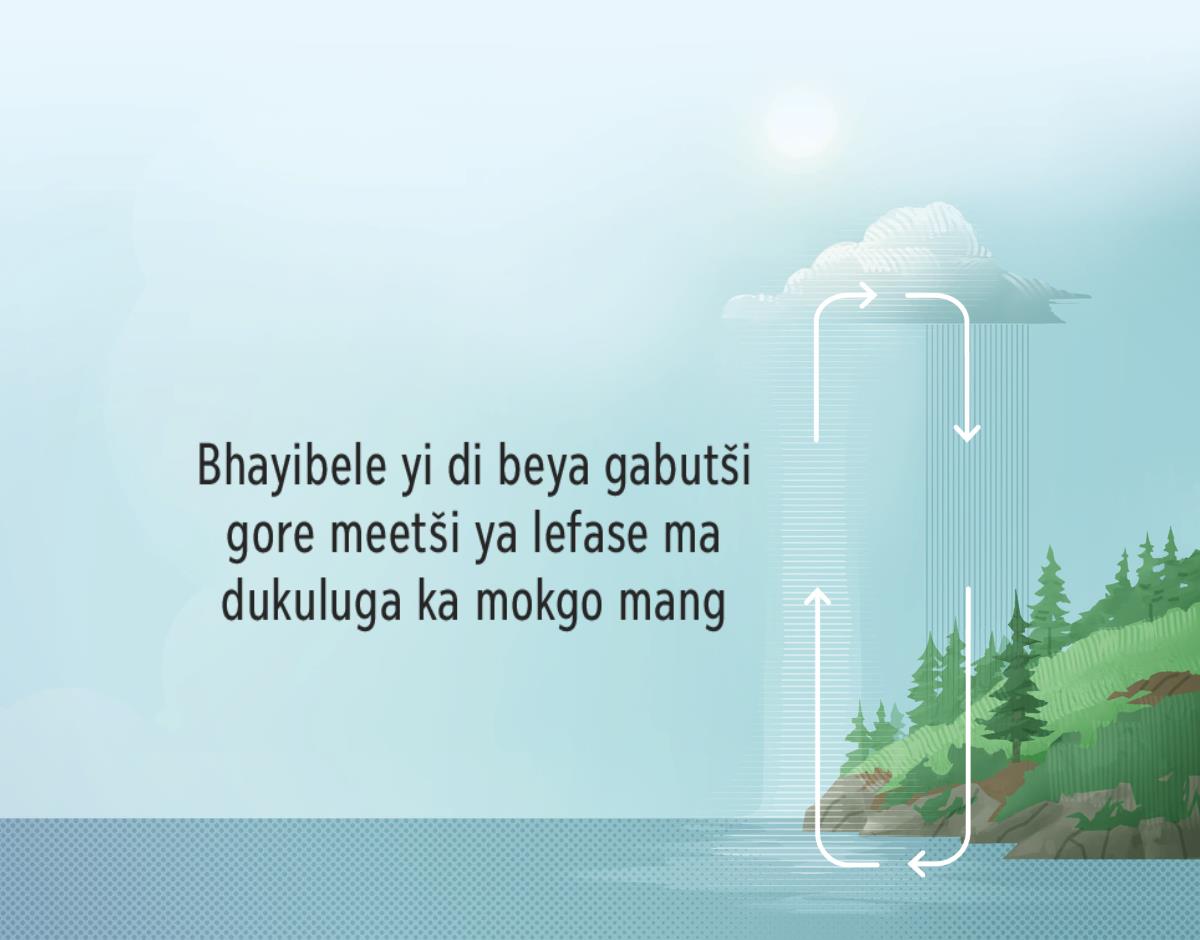 Bhayibele yi hlatolla modukulugo wa meetši ya lefase. Manaka ma šupetsa modukulugo wa meetši segare ga lefase le sebakabaka.