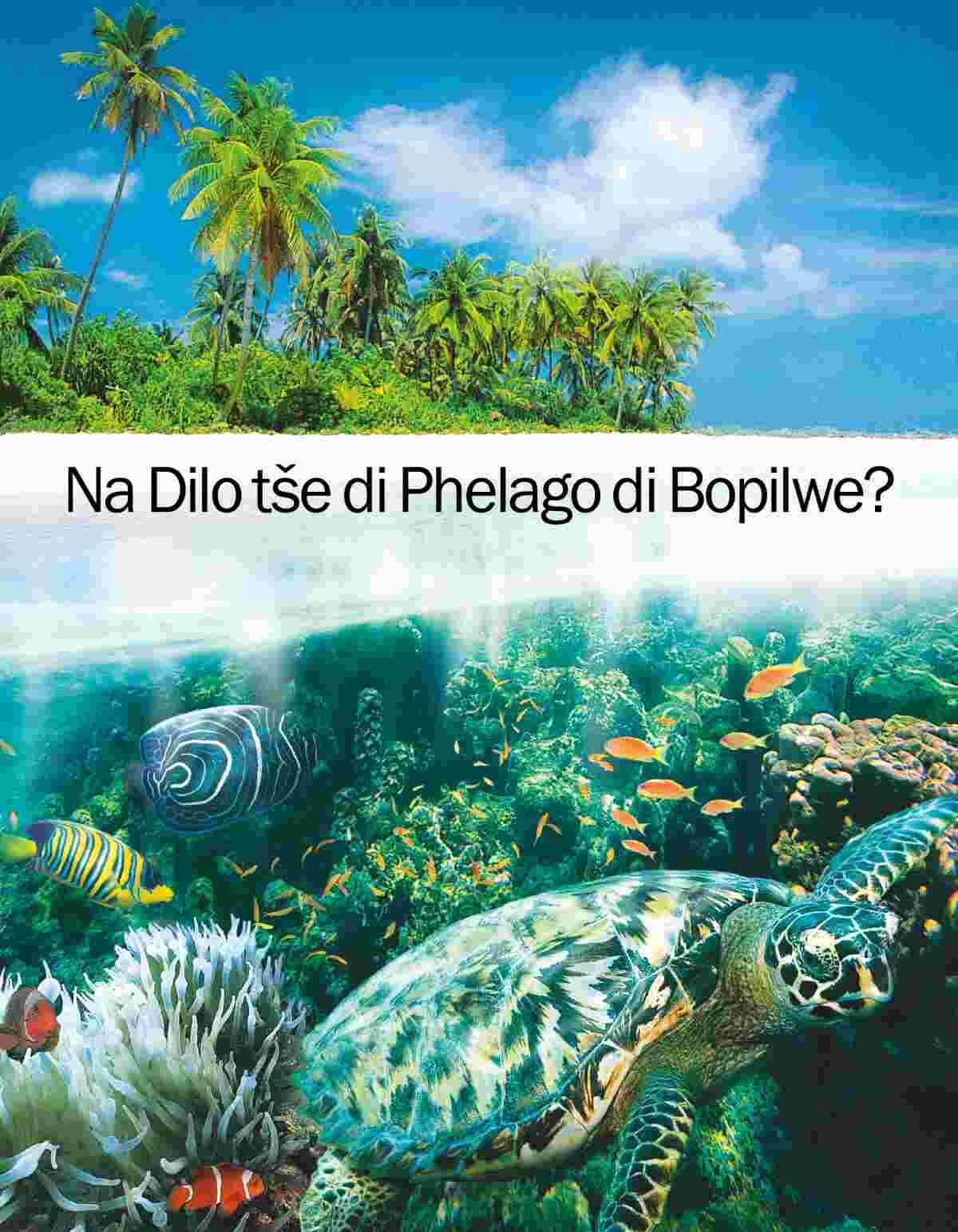 Sepukwane sa “Na Dilo tše di Phelago di Bopilwe?”