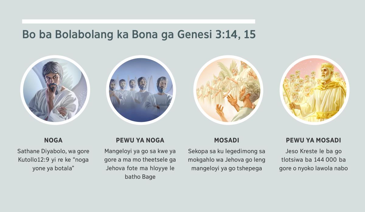 Dithombhe: “Bo ba bolabolang ka bona ga Genesi 3:14, 15.” 1. Noga: Sathane, ba mo hlatolla go le lengeloyi. 2. Pewu ya noga: mangeloyi ya go sa kwe. 3. Mosadi: mangeloyi ya go tshepega. 4. Pewu ya mosadi: Jeso Kreste le ba go tlotsiwa ba gore o nyoko lawola nabo ku legedimong. Tso di leng howa di nyarela fote ga direle 4, 5, 7 le 8.