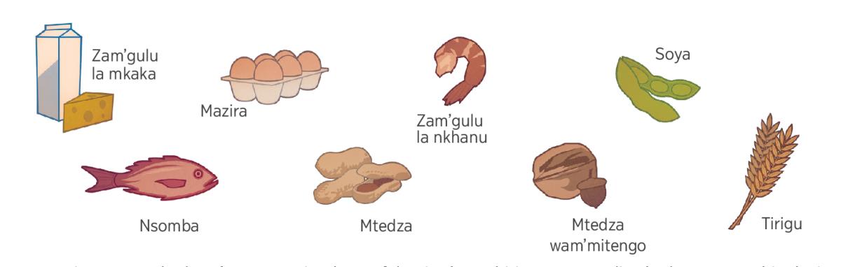 Mkaka, mazira, zam’gulu la nkhanu, soya, nsomba, mtedza, mtedza wa m’mitengo ndi tirigu