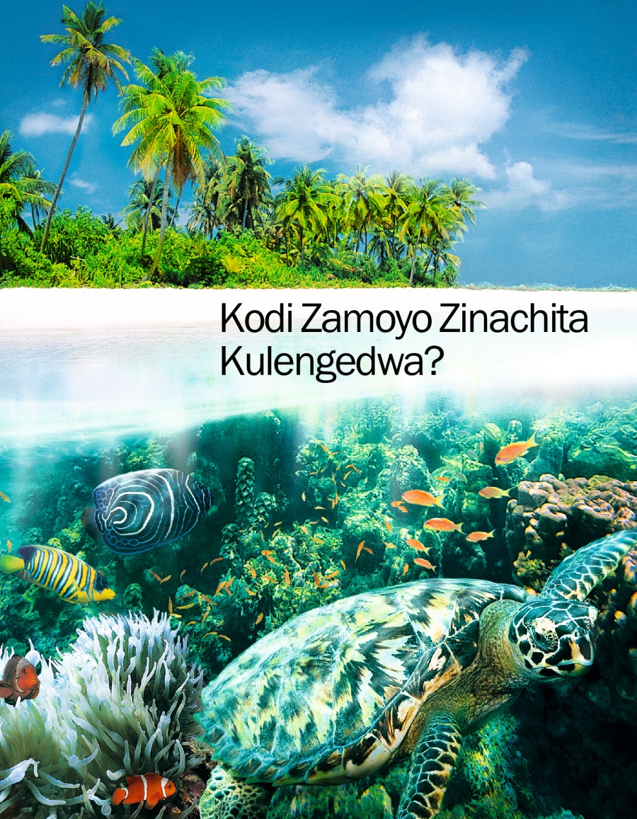 Kodi Zamoyo Zinachita Kulengedwa?