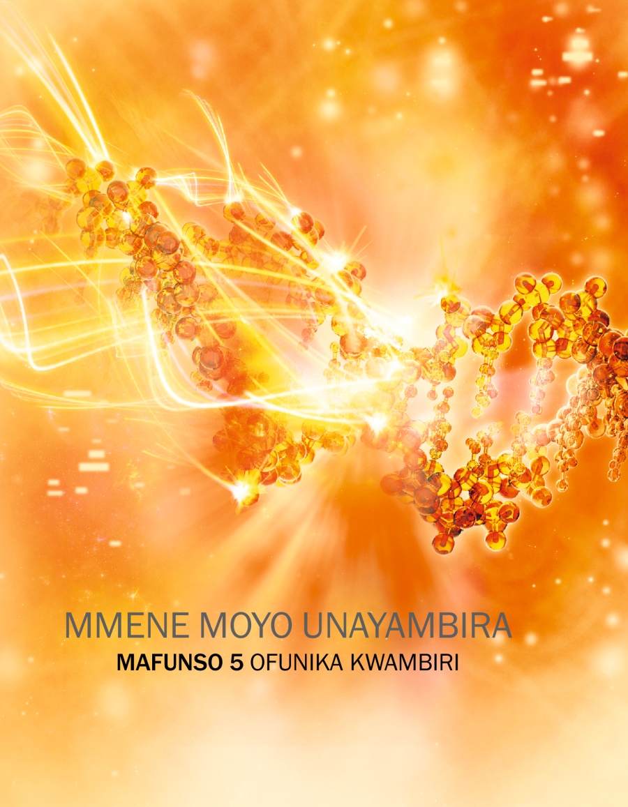 Mmene Moyo Unayambira—Mafunso 5 Ofunika Kwambiri