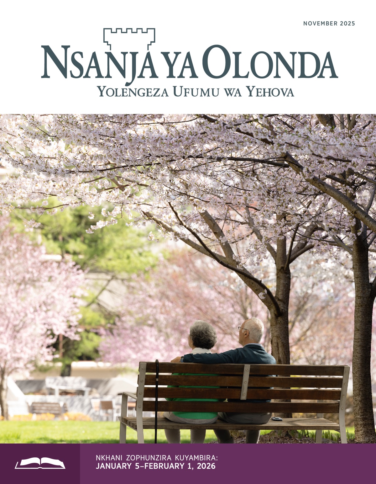 Banja lachikulire lakhala pampando panja, pansi pa mitengo yokongola.